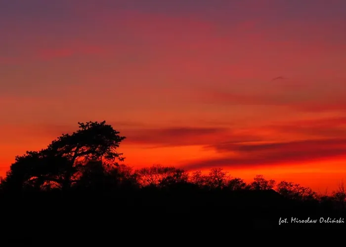 303 Planeta Daire Mielno (Koszalin)